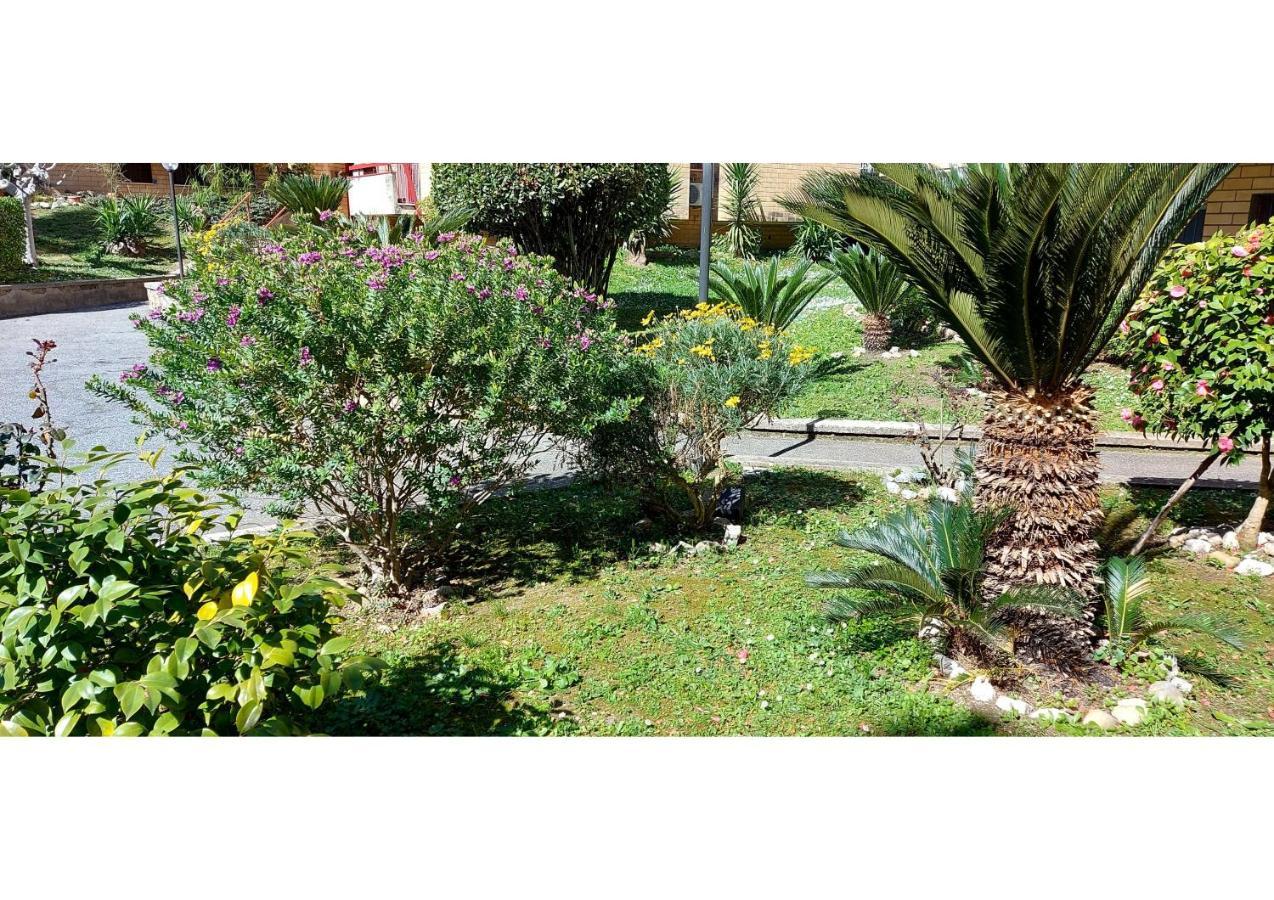 Apartamento Attico Con Terrazzo Roma